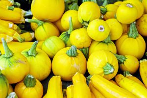 Frugal Recipes – What to do with Summer Squash