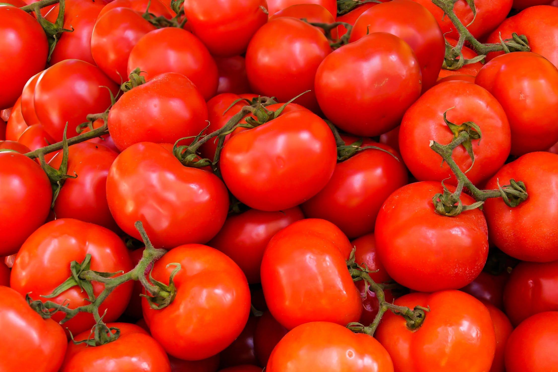 You are currently viewing Tomato Cream Soup using over-ripe tomatoes